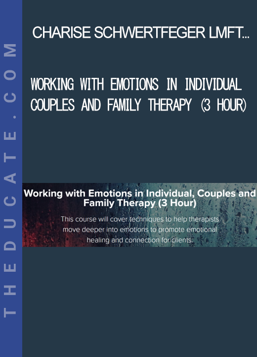 Charise Schwertfeger LMFT & Minon Maier LMFT - Working with Emotions in Individual Couples and Family Therapy (3 Hour)