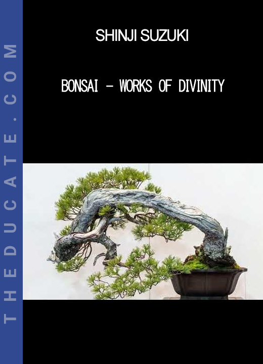 Shinji Suzuki - Bonsai - Works of Divinity