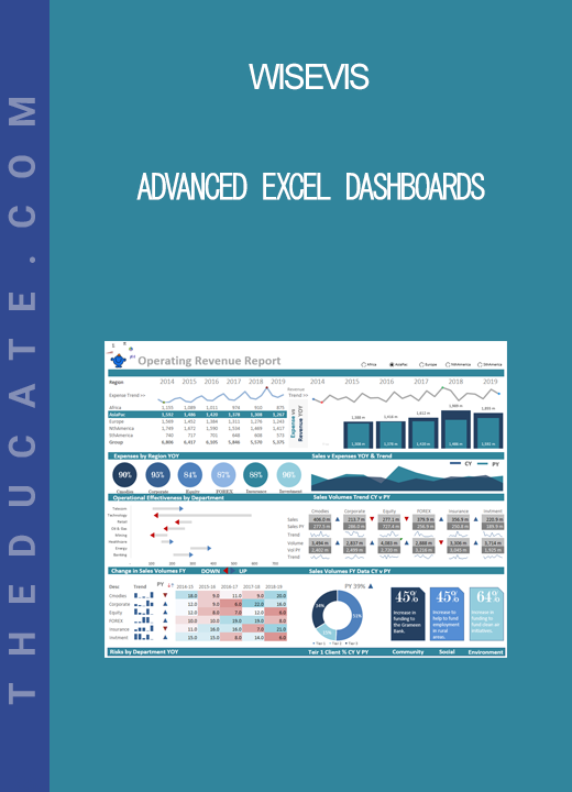 Wisevis - Advanced Excel Dashboards