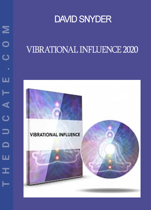 David Snyder - Vibrational Influence 2020