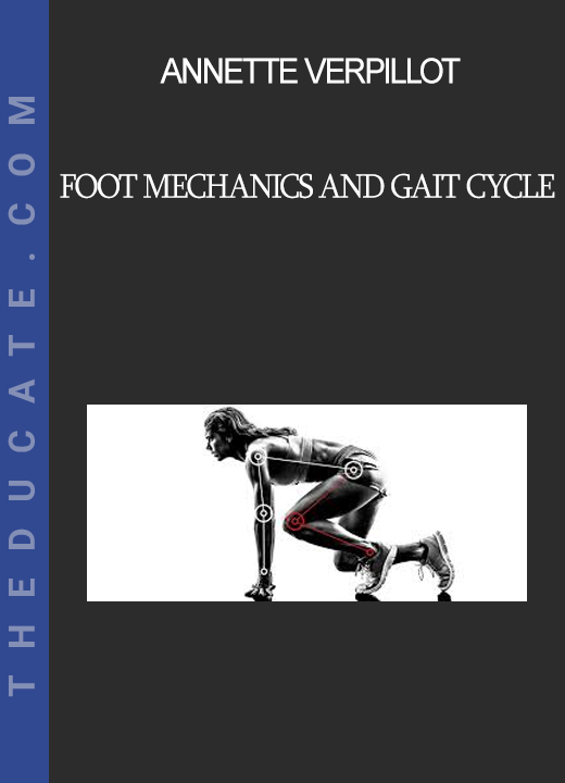 Annette Verpillot - Foot Mechanics and Gait Cycle